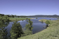 LAGO CECITA- SILA