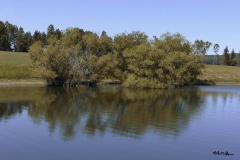 LAGO CECITA- SILA