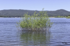 LAGO CECITA- SILA